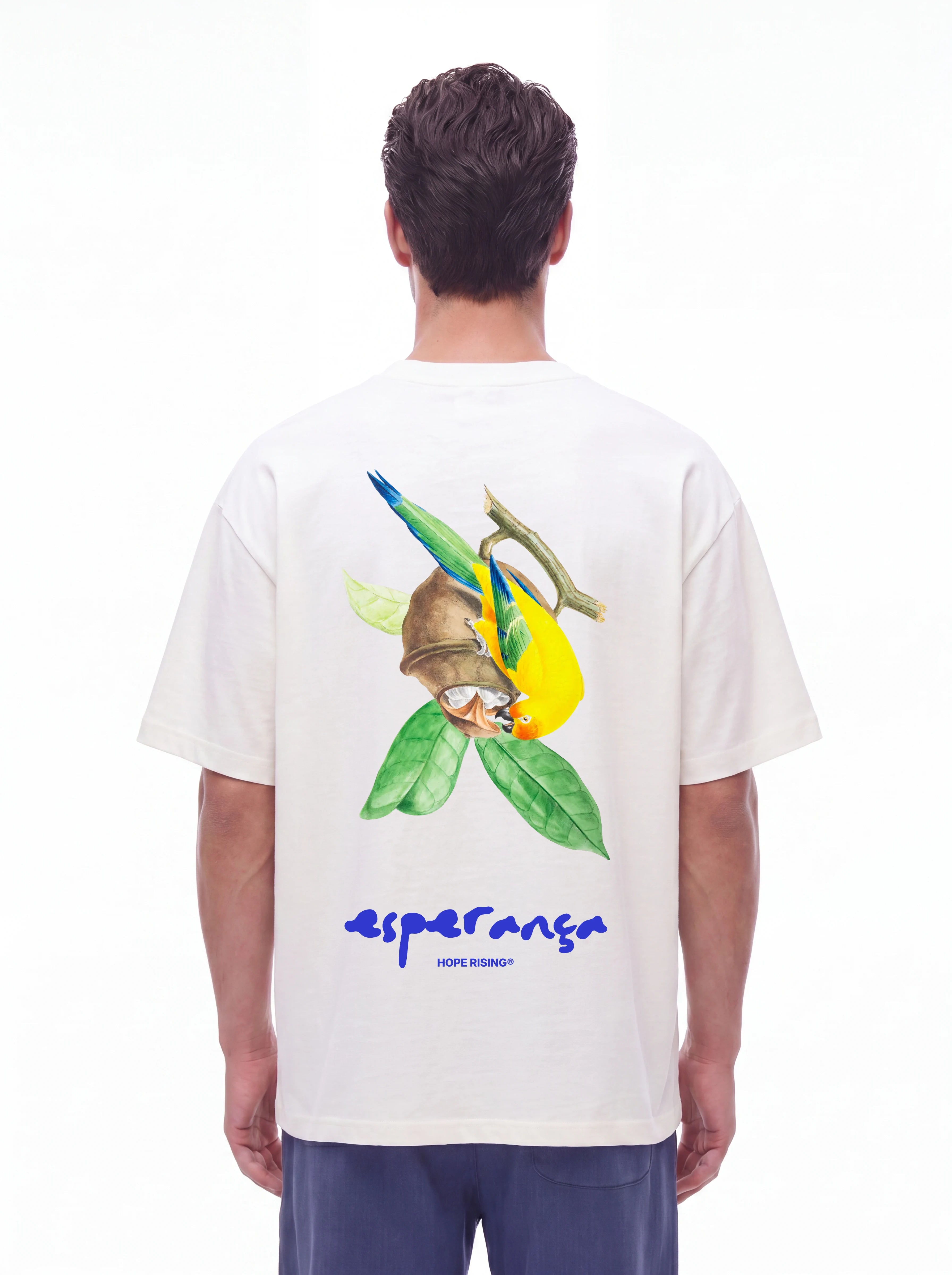 Birds of Hope - Golden Song
