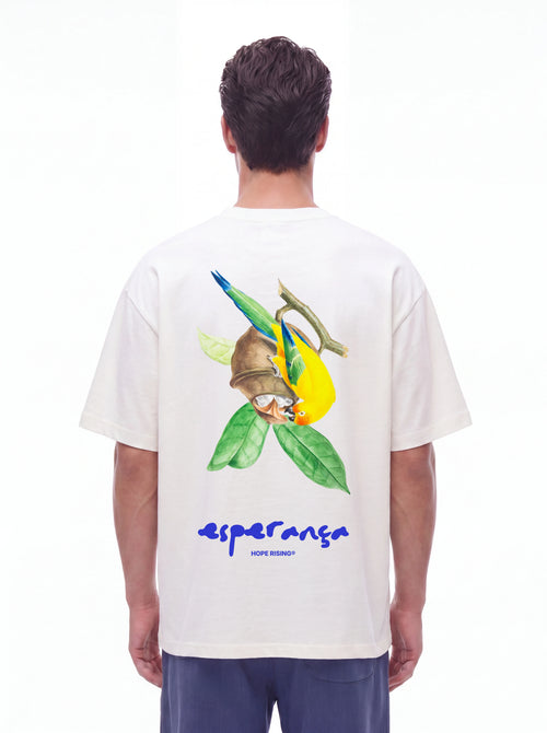 Birds of Hope - Golden Song