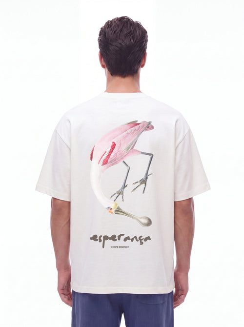 Birds of Hope - Rose Song